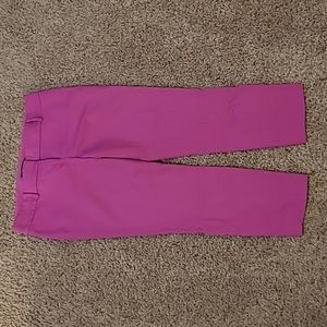 Ann Taylor Straight Leg Dress Pants